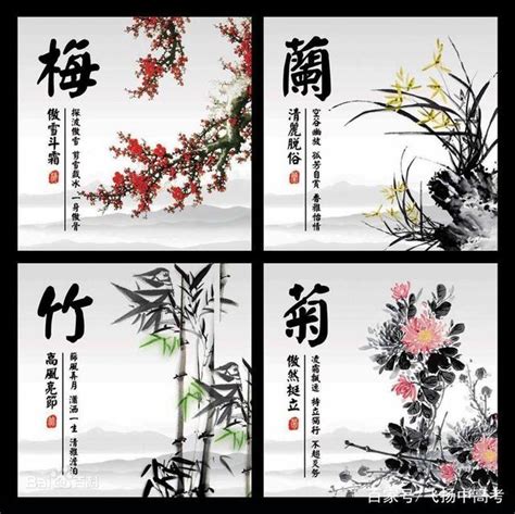 梅蘭竹菊春夏秋冬|四君子(梅、蘭、竹、菊的別稱):釋義,發展歷程,寓意由。